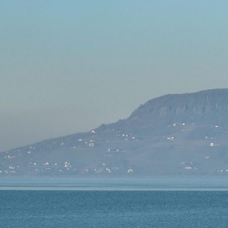 Balaton A Kertben - Balaton In The Garden - Beachfront Houses With Beautiful View, Private Beach Balatonfenyves Bagian luar foto